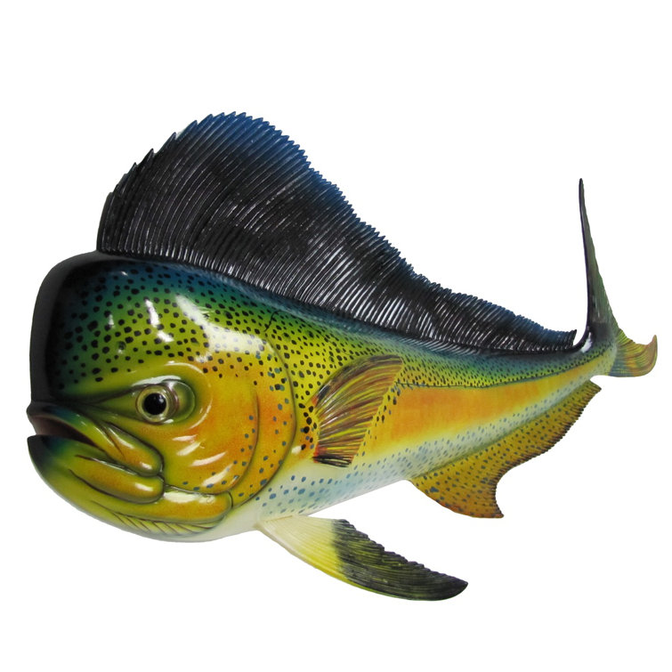Rosecliff Heights Saltwater Mahi HandPainted Fish Wall Décor Wayfair